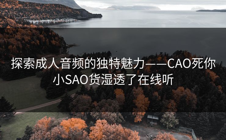 探索成人音频的独特魅力——CAO死你小SAO货湿透了在线听