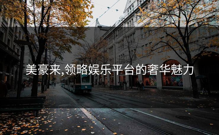 美豪来,领略娱乐平台的奢华魅力