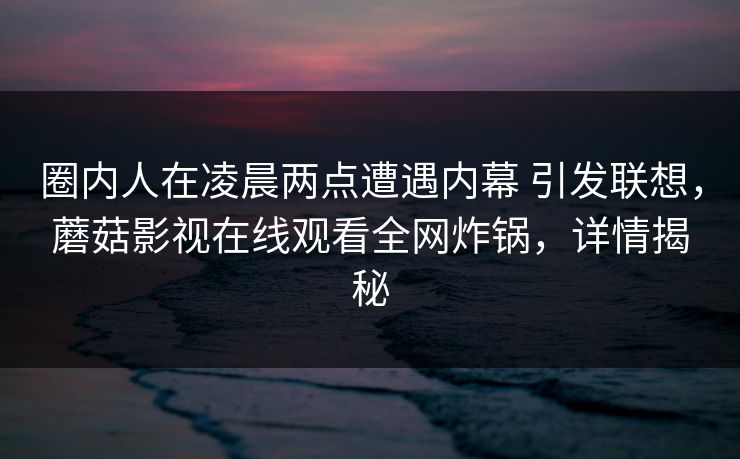 圈内人在凌晨两点遭遇内幕 引发联想，蘑菇影视在线观看全网炸锅，详情揭秘