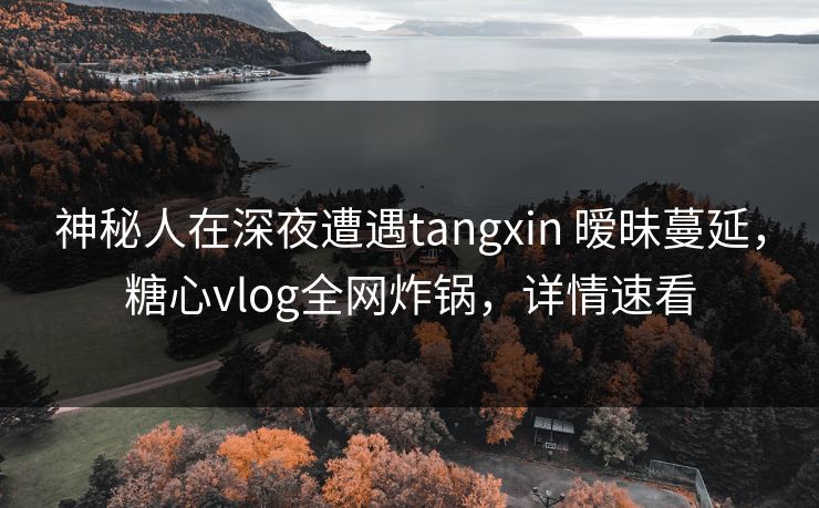 神秘人在深夜遭遇tangxin 暧昧蔓延，糖心vlog全网炸锅，详情速看