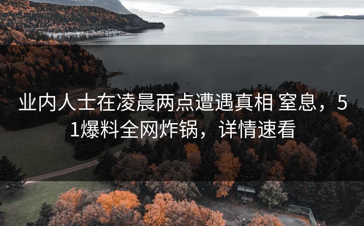 业内人士在凌晨两点遭遇真相 窒息，51爆料全网炸锅，详情速看